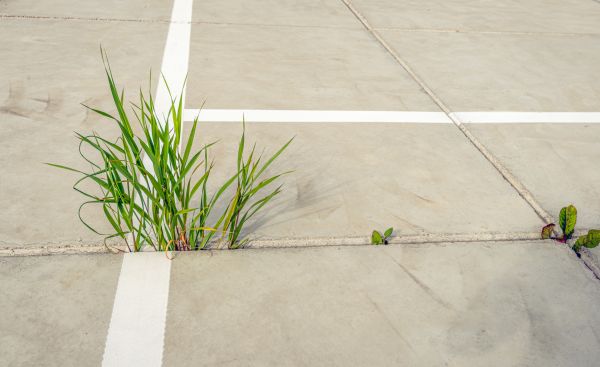 Concrete Parking Installation in Indio