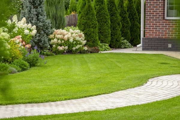 Landscape Walkway Installation in Indio